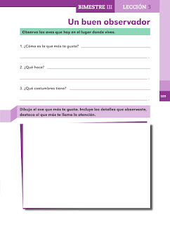 Apoyo Primaria Español 2do grado Bloque 3 lección 3 Un buen observador