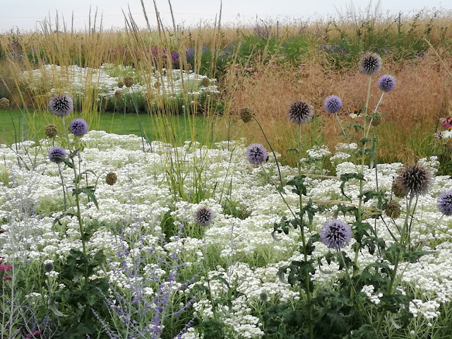 rabata preriowa, perennial border, trawy w ogrodzie