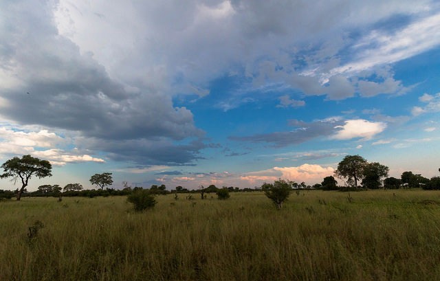  Okavango Delta, Moremi, Savuti and Chobe National Park Safari Tours  