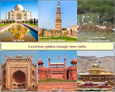 Choose Your Favourite Golden triangle tours India