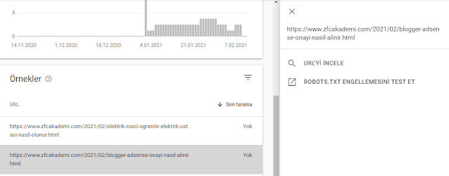 YENİ AÇILAN SİTE NE ZAMAN İNDEXLENİR