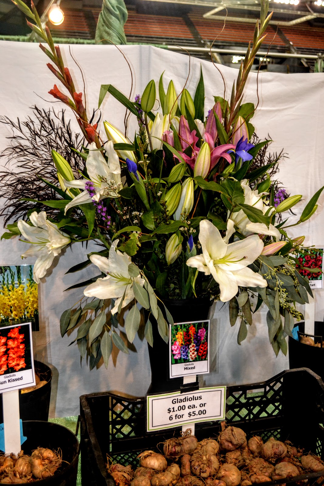 The Outlaw Gardener: The Tacoma Home and Garden Show - The Plant