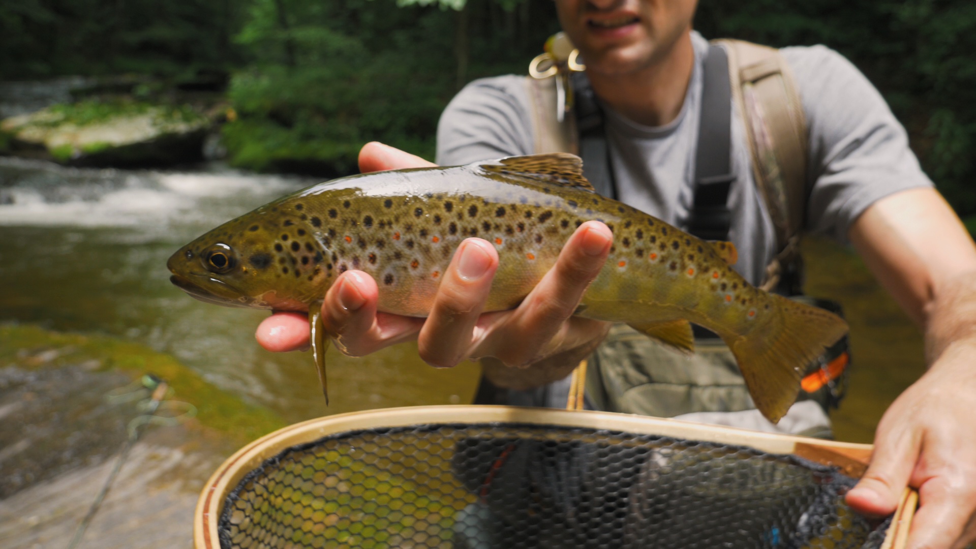 Camping And Fly Fishing Slate Run In PA