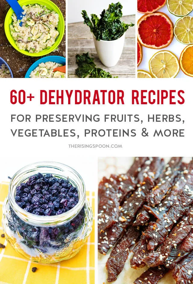 60+ Dehydrator Recipes For Preserving Food, Saving Money & Eating Healthier