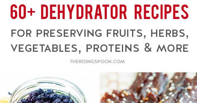 60+ Dehydrator Recipes For Preserving Food, Saving Money & Eating