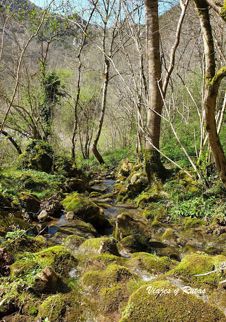 Olla de San Vicente, Asturias