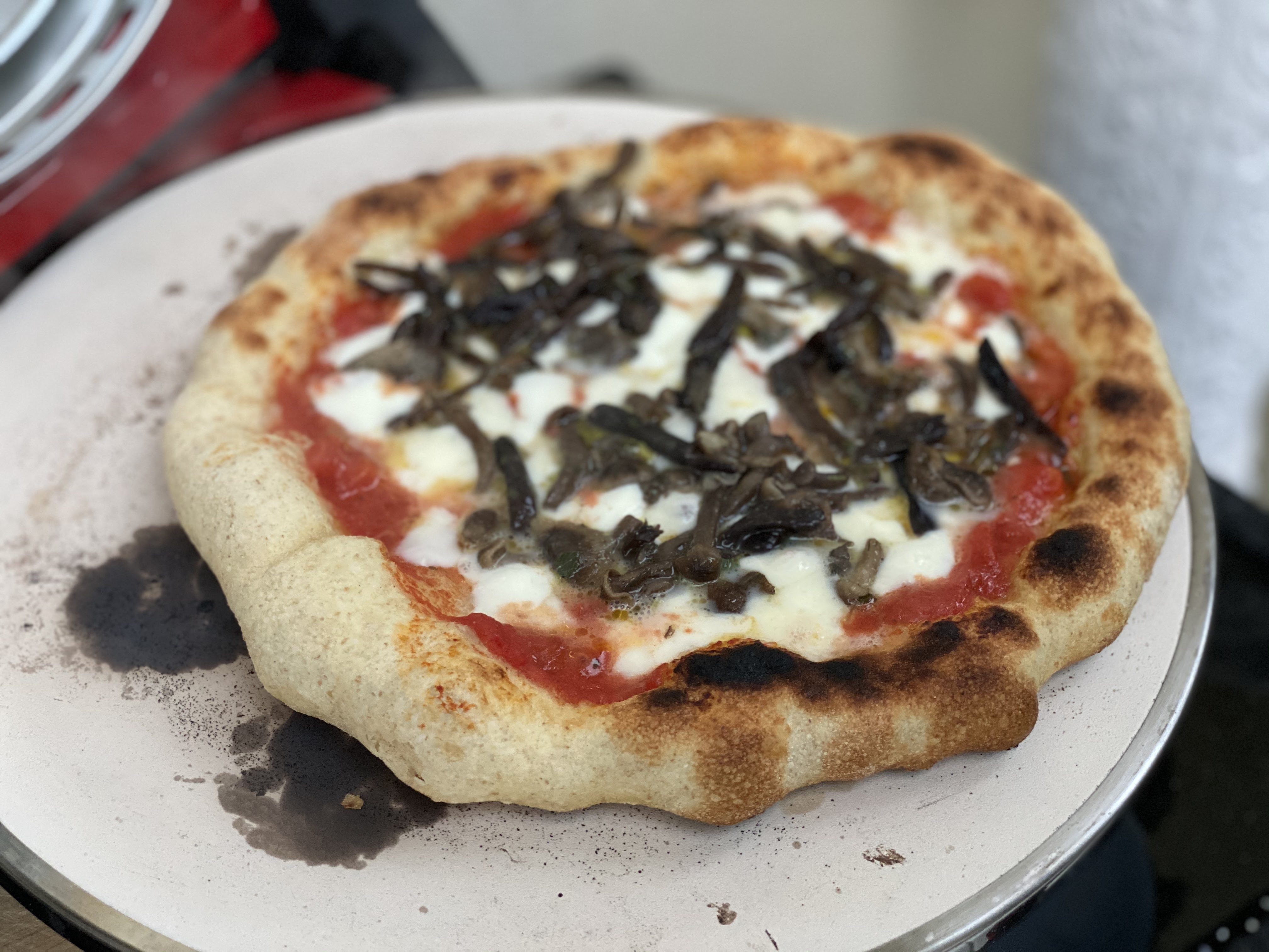 La cucina degli Angeli: Pizza con il fornetto Ferrari e abbattitore di  temperatura Life