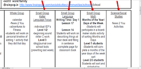 Ideas From a Busy Bee: Mail Call Monday- Lesson Plan Writing!