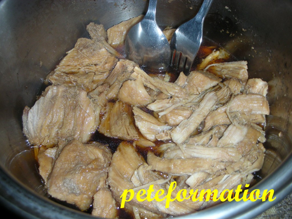 PeteFormation Foodie Adventure Chinese Style Pork Meat Floss Recipe