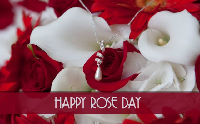 Happy rose day greetings Happy rose day greetings