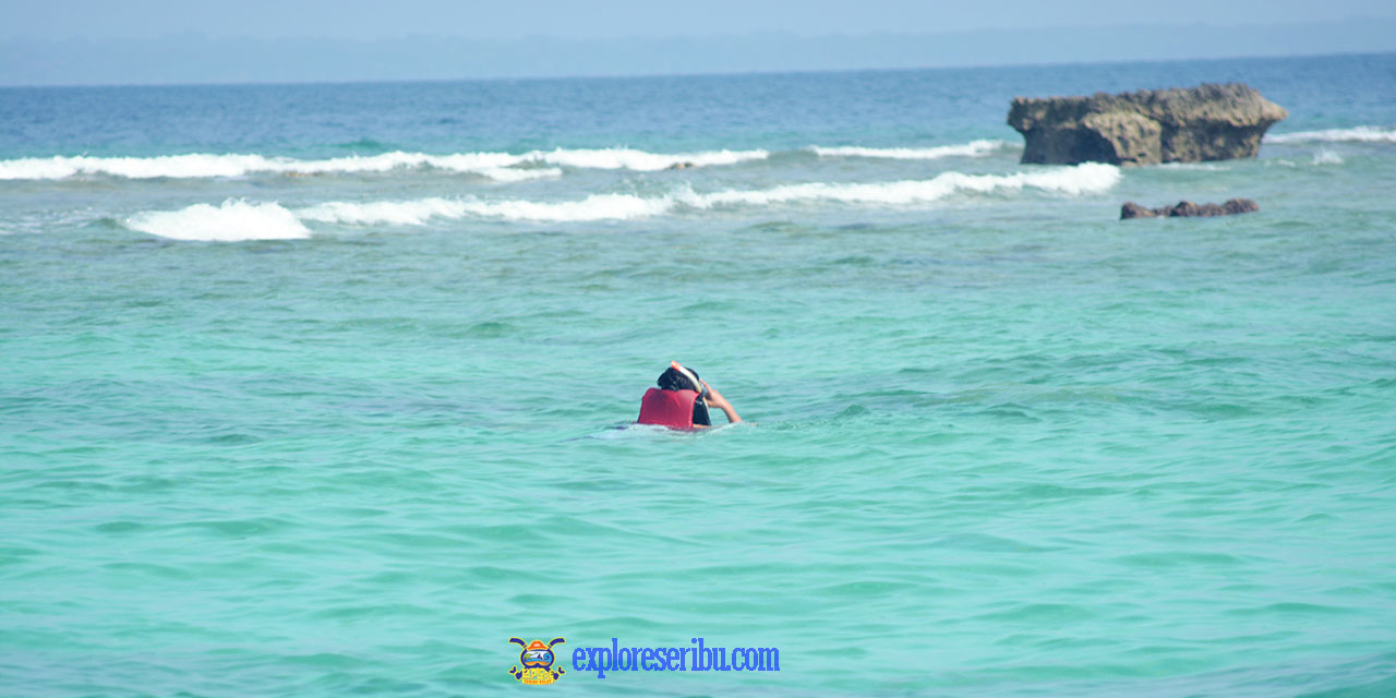 snorkeling di pulau badul ujung kulon
