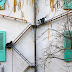 These Cat Ladders In Buildings In Switzerland Are The Best Thing Cat Owners Have Ever Seen