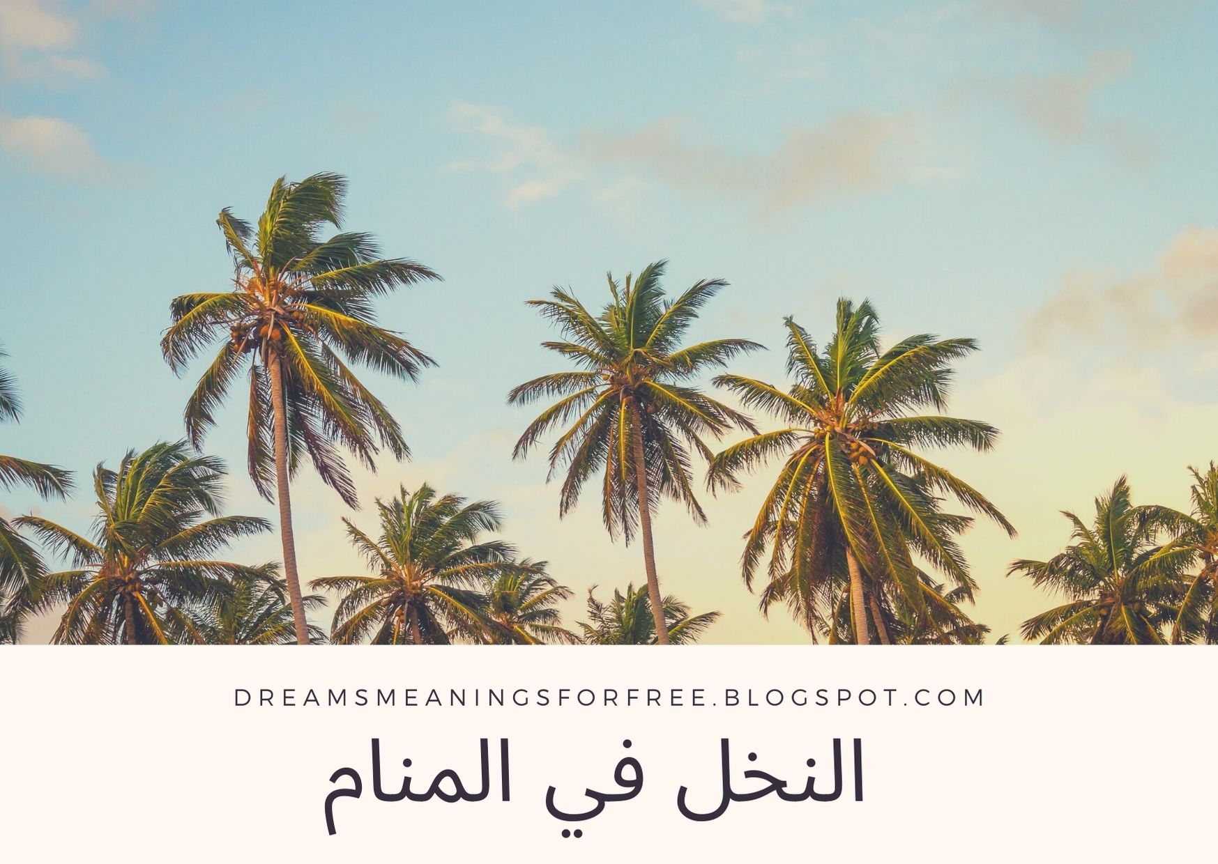 غرس النخيل في المنام كما جاء في كتاب تفسير الأحلام لابن سيرين