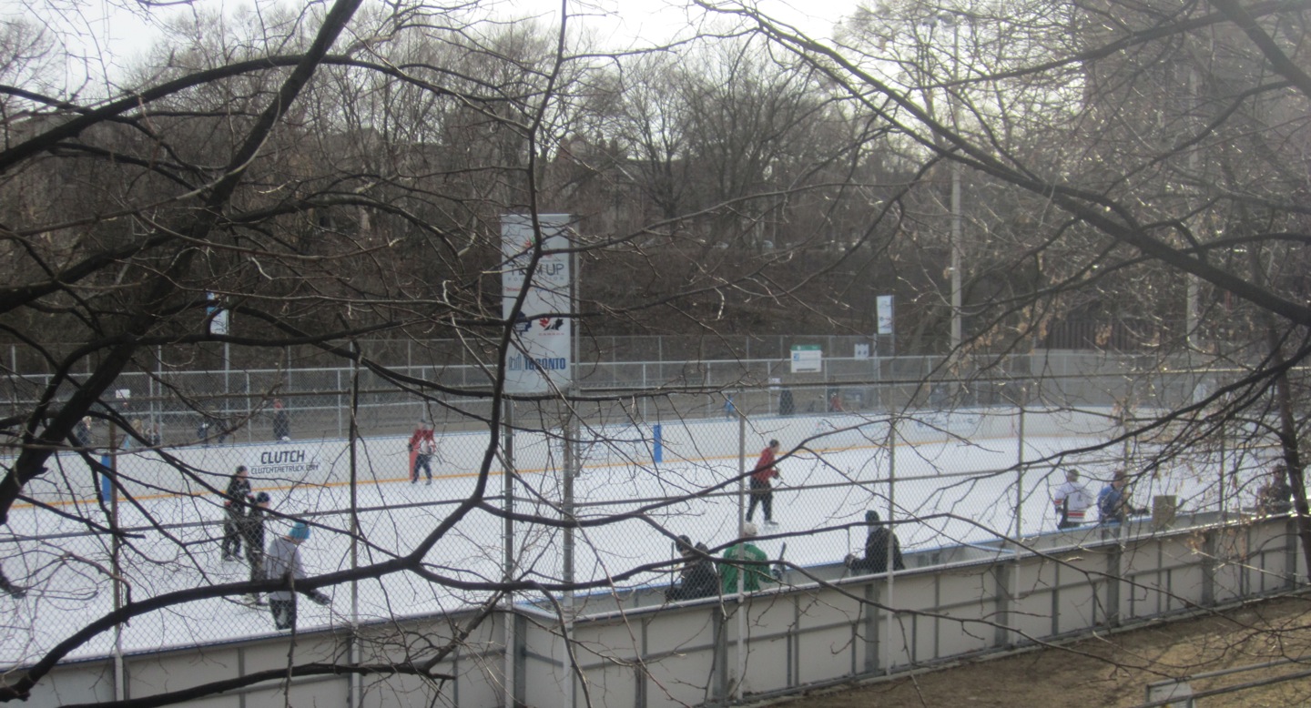 Great Skate 11 Ramsden Park