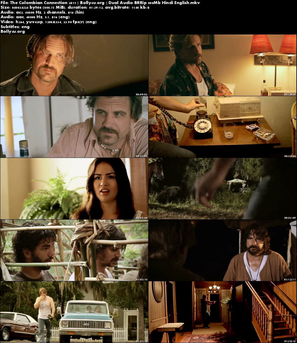 The Colombian Connection 2011 BRRip 300Mb Hindi Dual Audio 480p Download
