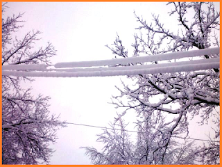 Three snow covered power lines.  Snow thickness of about 3 inches.