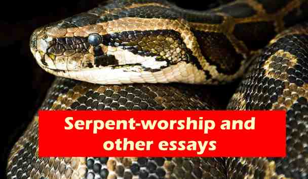 Serpens essays 05 image