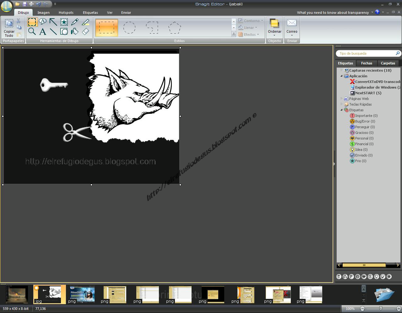 snagit portable