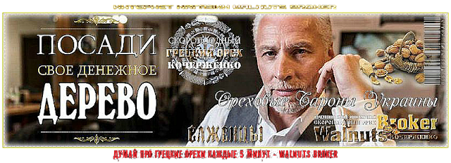 Какой сорт фундука лучший в Украине от Walnuts Broker & SetNut