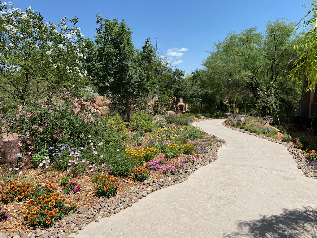 Hither & Yon The Springs Preserve, Las Vegas NV