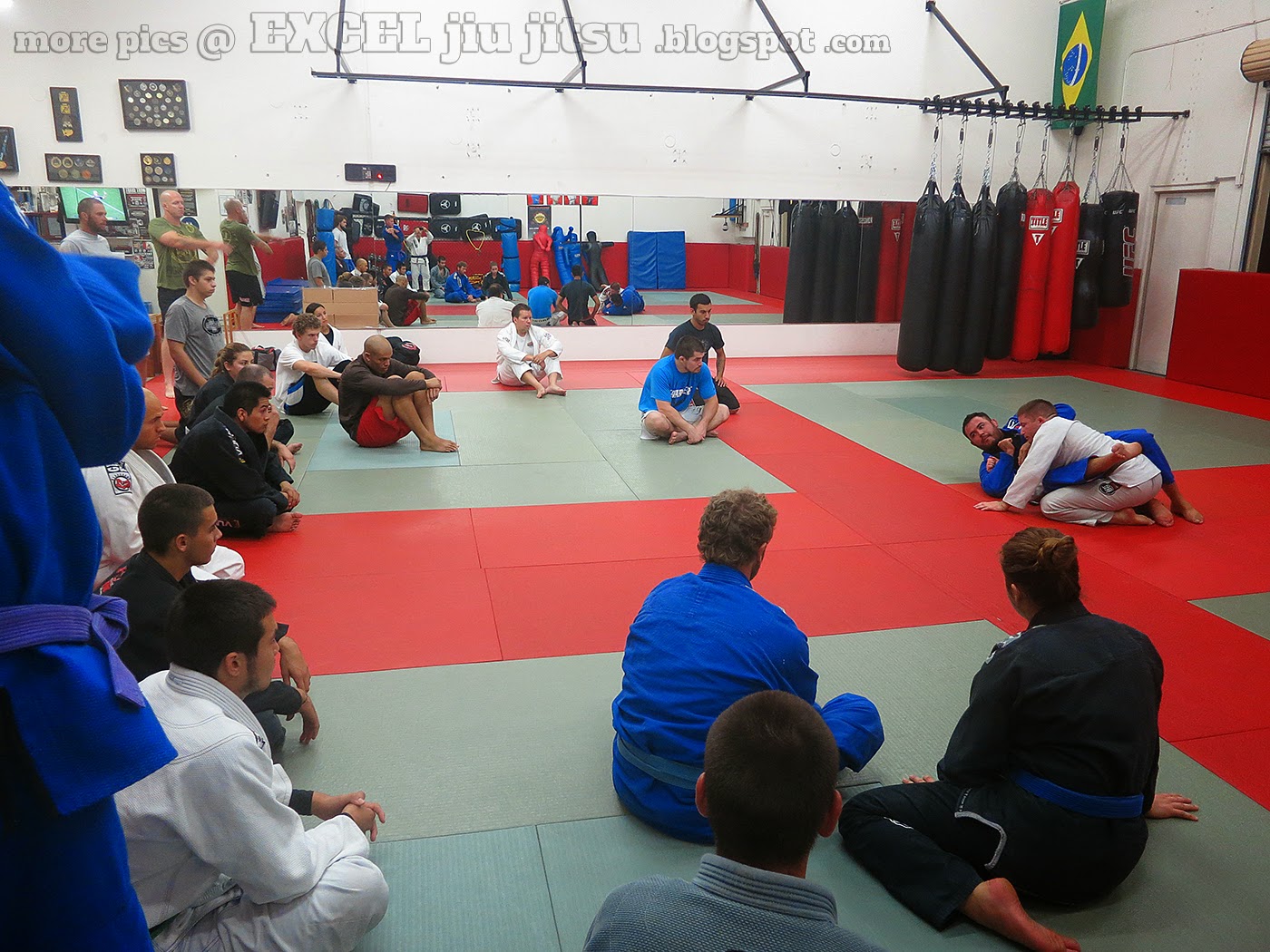 Excel Jiu Jitsu MMA & Fitness BJJ Brazilian Jiu Jitsu Instruction in