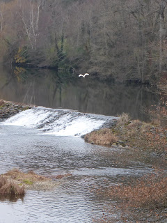 Randonnée Tarn Le Viaur Bea Rando Decouverte