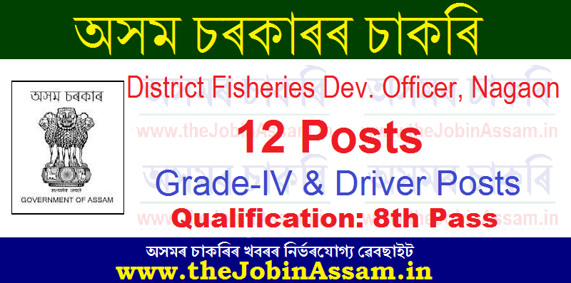 DFDO Nagaon Recruitment 2021: Apply for 12 Driver, Grade-IVand allied Cadre Posts DFDO Nagaon Recruitment 2021: Apply for 12 Driver, Grade-IVand allied Cadre Posts
