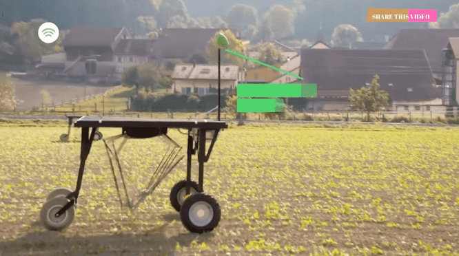 auto2.gif
