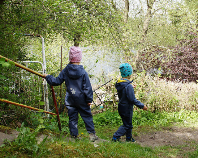 Küsten-Spaziergänge rund um Kiel, Teil 6: Der Rundweg um den Langsee. Das letzte Stück Weg auf dem Ausflug könnt Ihr durch die Kleingärten zurücklegen. Über die Natur hinweg habt Ihr oft einen Blick auf den See.