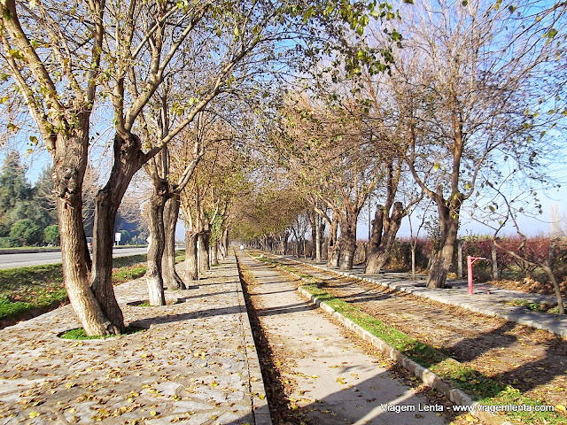 Caminho para o sítio arqueológico