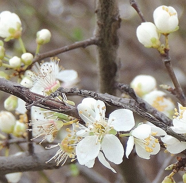 Makro Montag