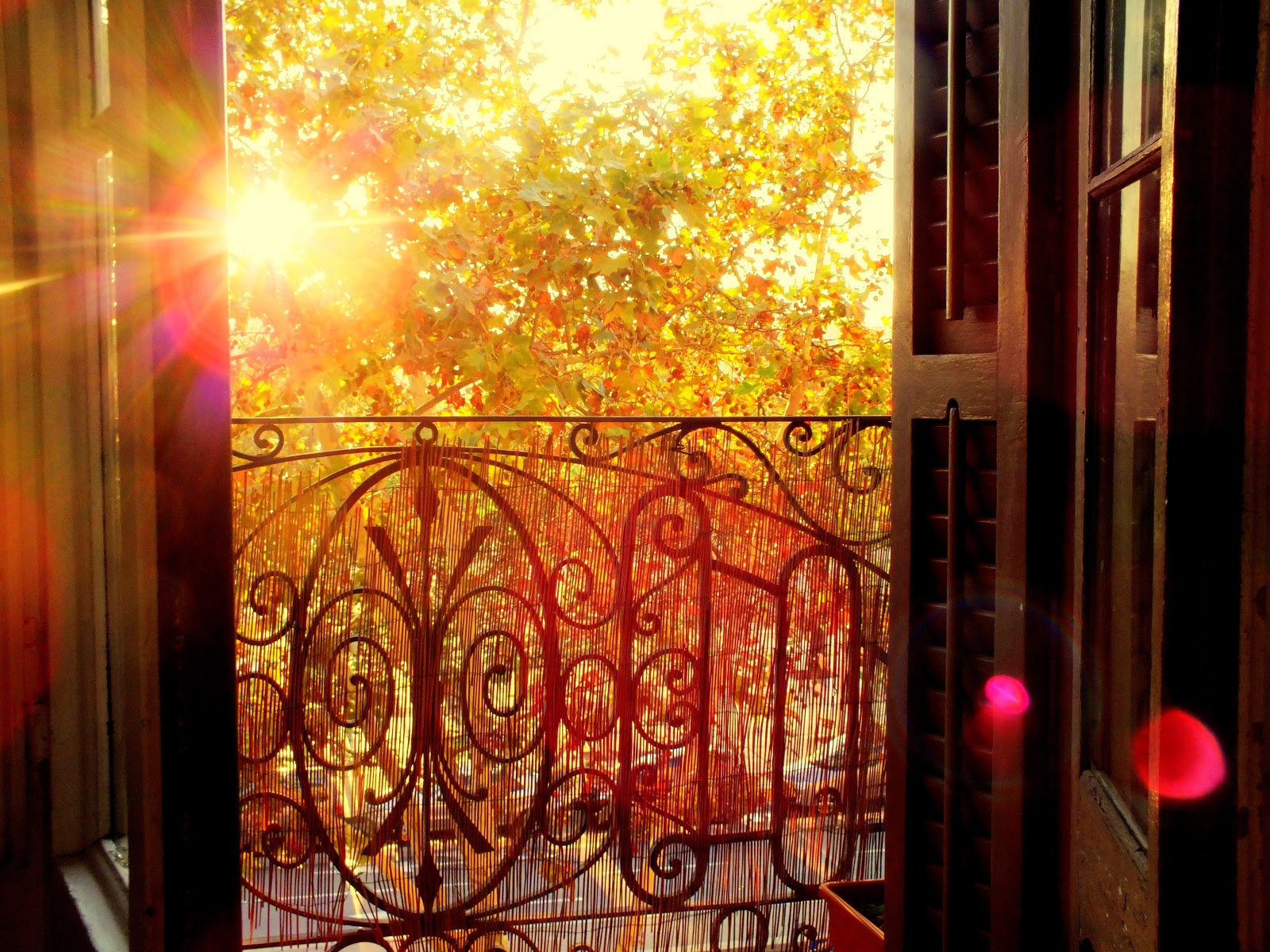 Новый рассвет стучится к тебе в окно. Открытая дверь в осень. Осеннее окно. Вид из окна осень. Осень за окном.