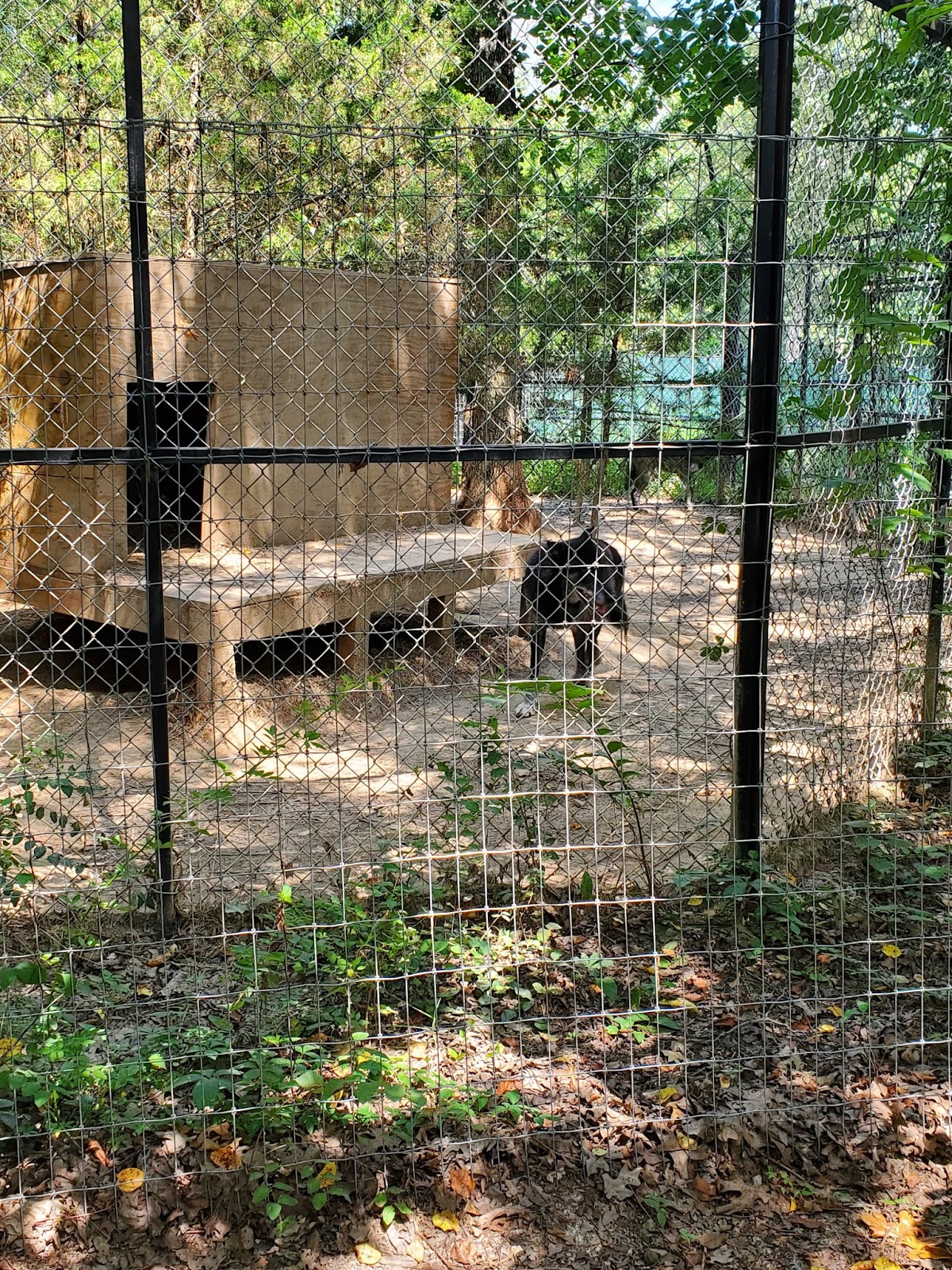 Play St. Louis Wild Animal Adventure Park, Stanton