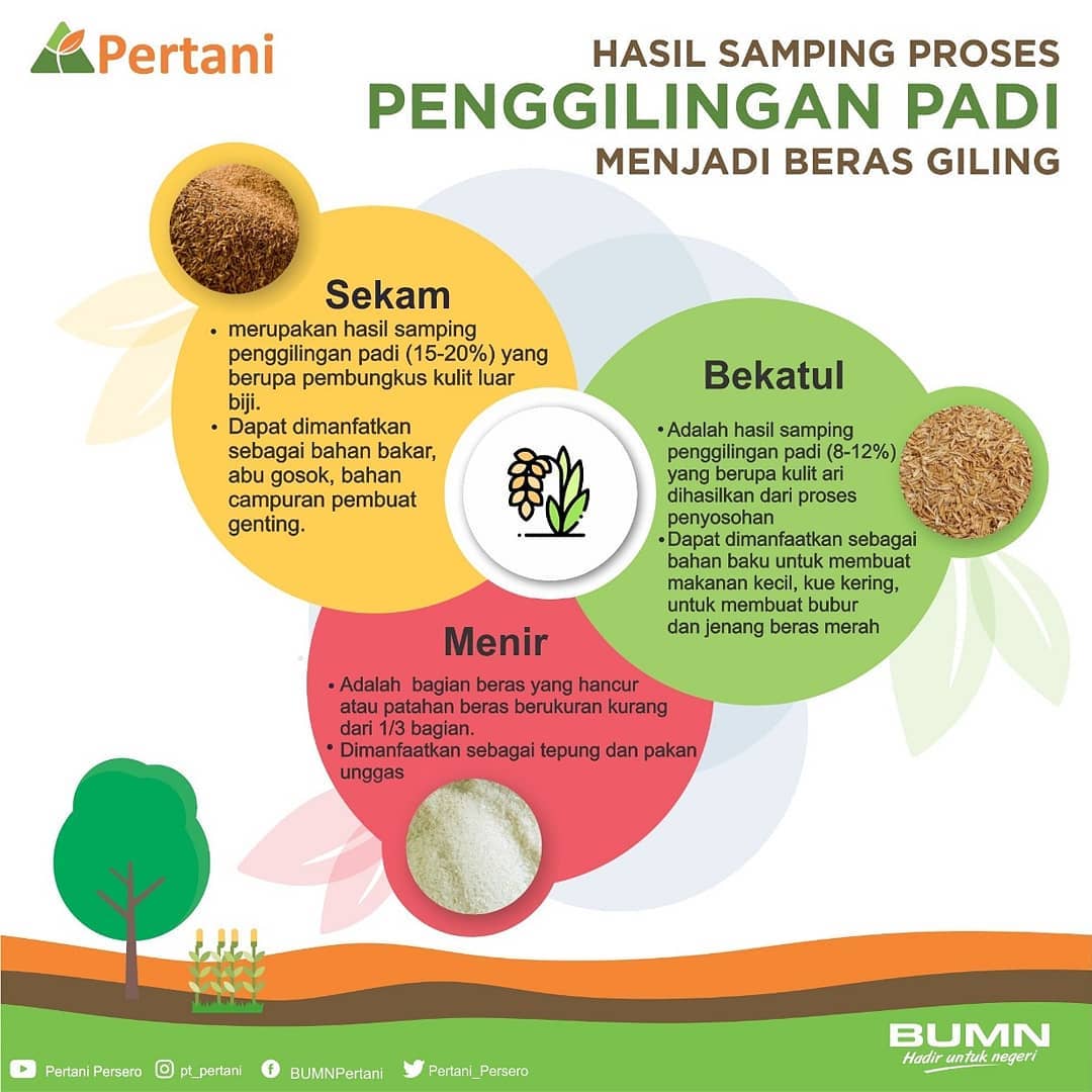 Prakarya Pengolahan Hasil Samping Serealia Kacang Kacangan Dan Umbi Menjadi Produk Pangan Prakarya Pengolahan Hasil Samping Serealia Kacang Kacangan Dan Umbi Menjadi Produk Pangan