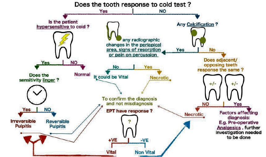 DIAGNOSTIC PROCEDURES l Endodontics MCQs WikiDentia