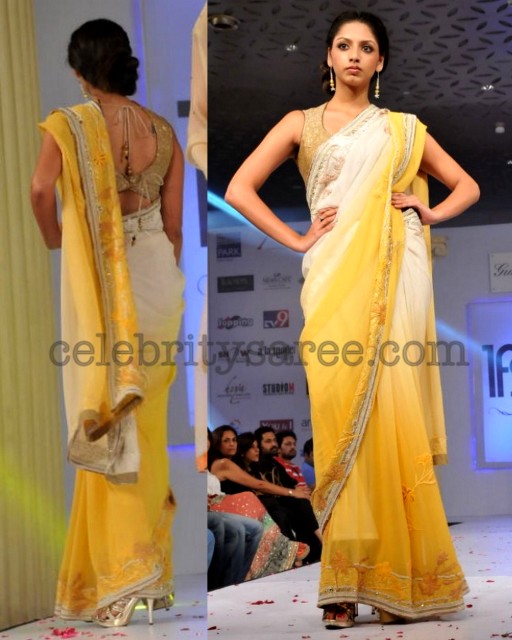 Dual Color Paint Saree with Designer Blouse - Saree Blouse Patterns