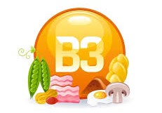 La vitamine B3 ( Sources alimentaires. Carence et surdosage )