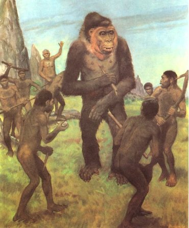Gigantopithecus blacki y Homo erectus