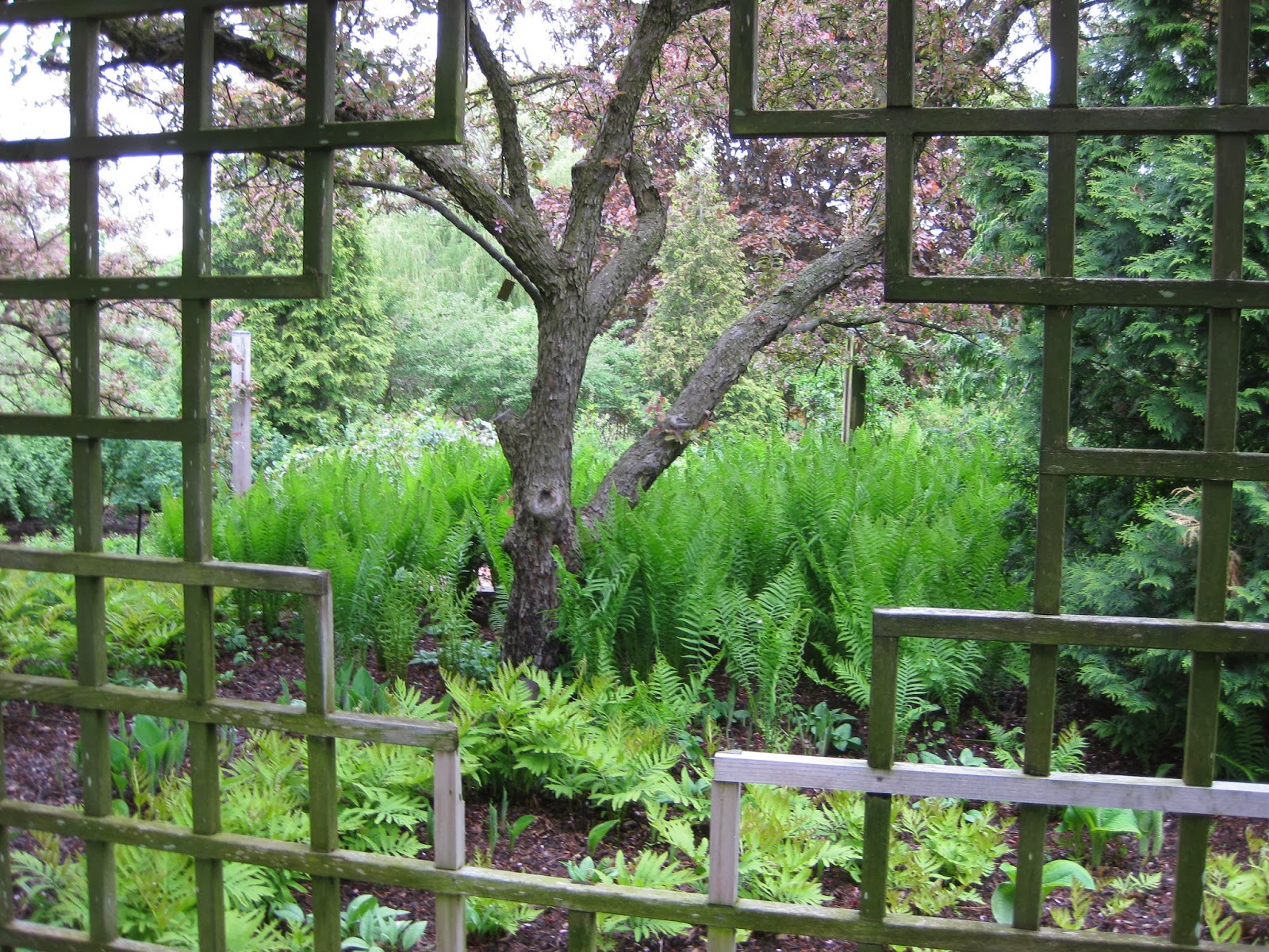Rotary Botanical Gardens Hort Blog Framed Garden Views