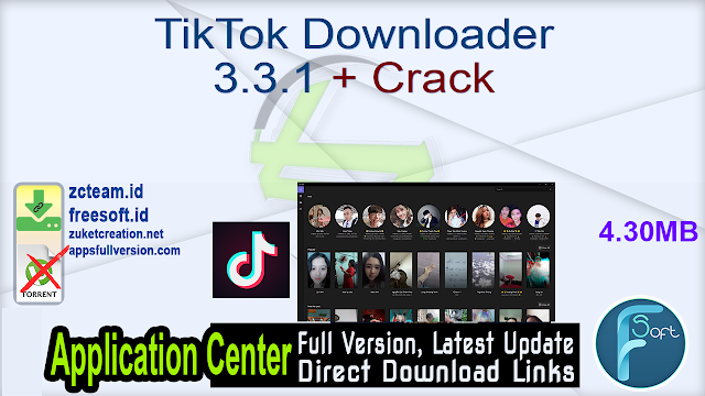 tiktok downloader pc online tiktok downloader pc online
