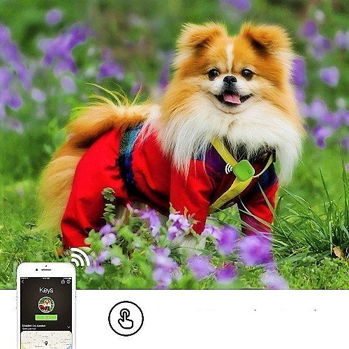 Localizzatore Bluetooth 5.2 Per Chiavi E Oggetti - 2 Pezzi Con App, Telecomando Wireless, Compatibile IOS/Android - Foto 2