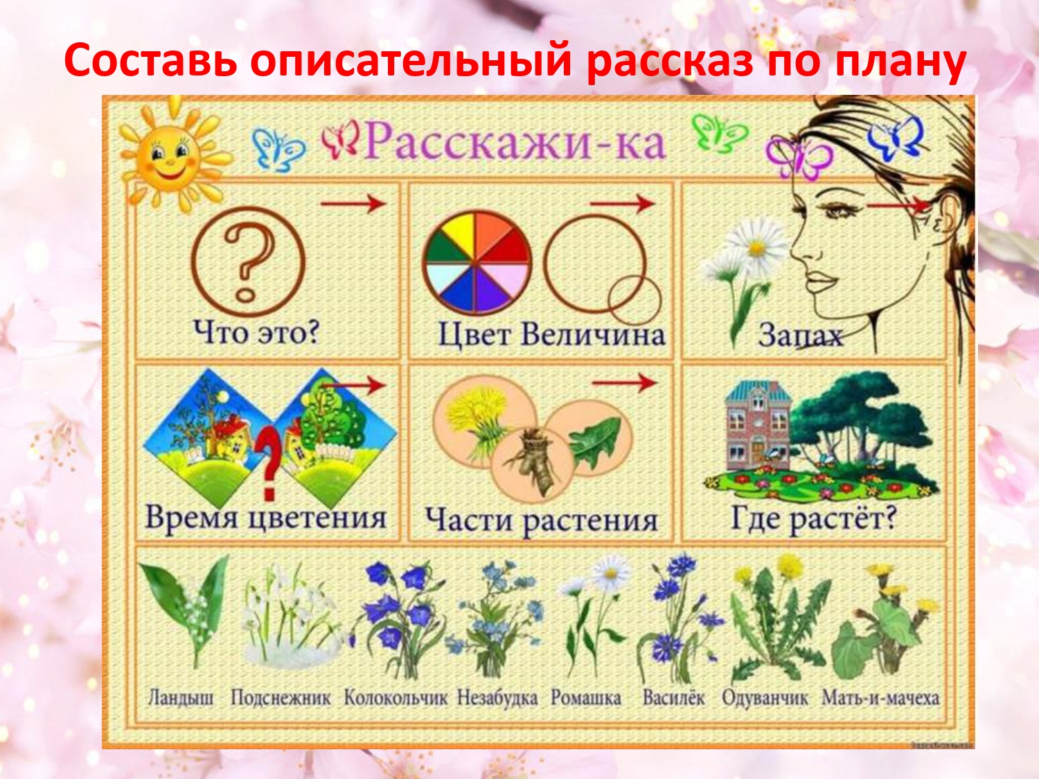 Развитие речи средняя группа растения. Алгоритм расскажи о растении. Схема составления рассказа о цветах. Описательный рассказ для дошкольников. Схема описания для дошкольников.