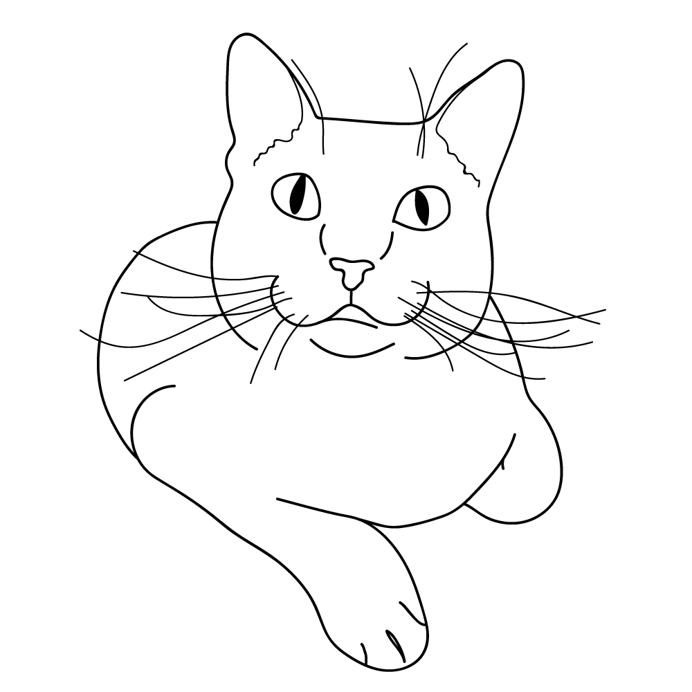 Cat line art Vector drawing 03 Vectoy