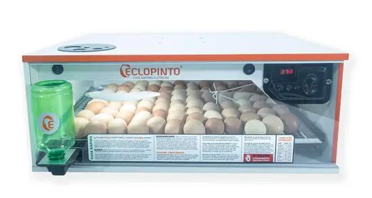PET SHOP - Chocadeira Automática com 72 Ovos e Ovoscópio