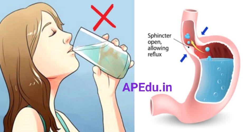 Why you should NEVER drink water standing up APEdu