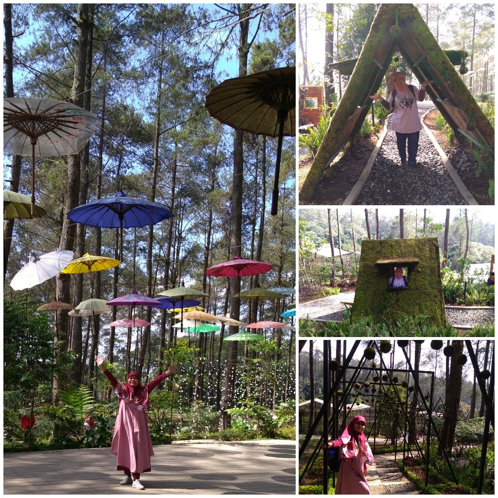 Review Tempat Wisata Orchid Forest Cikole Bandung Cerita Ida
