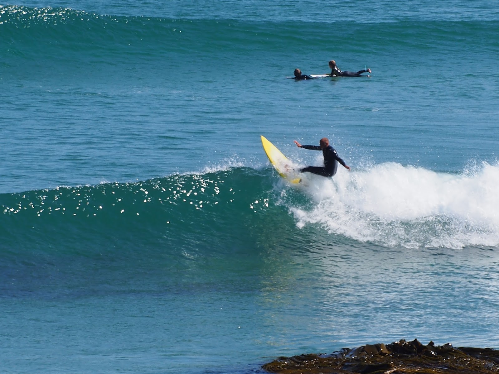 Black head, Dunedin ダニーデン ブラックヘッドでサーフィン