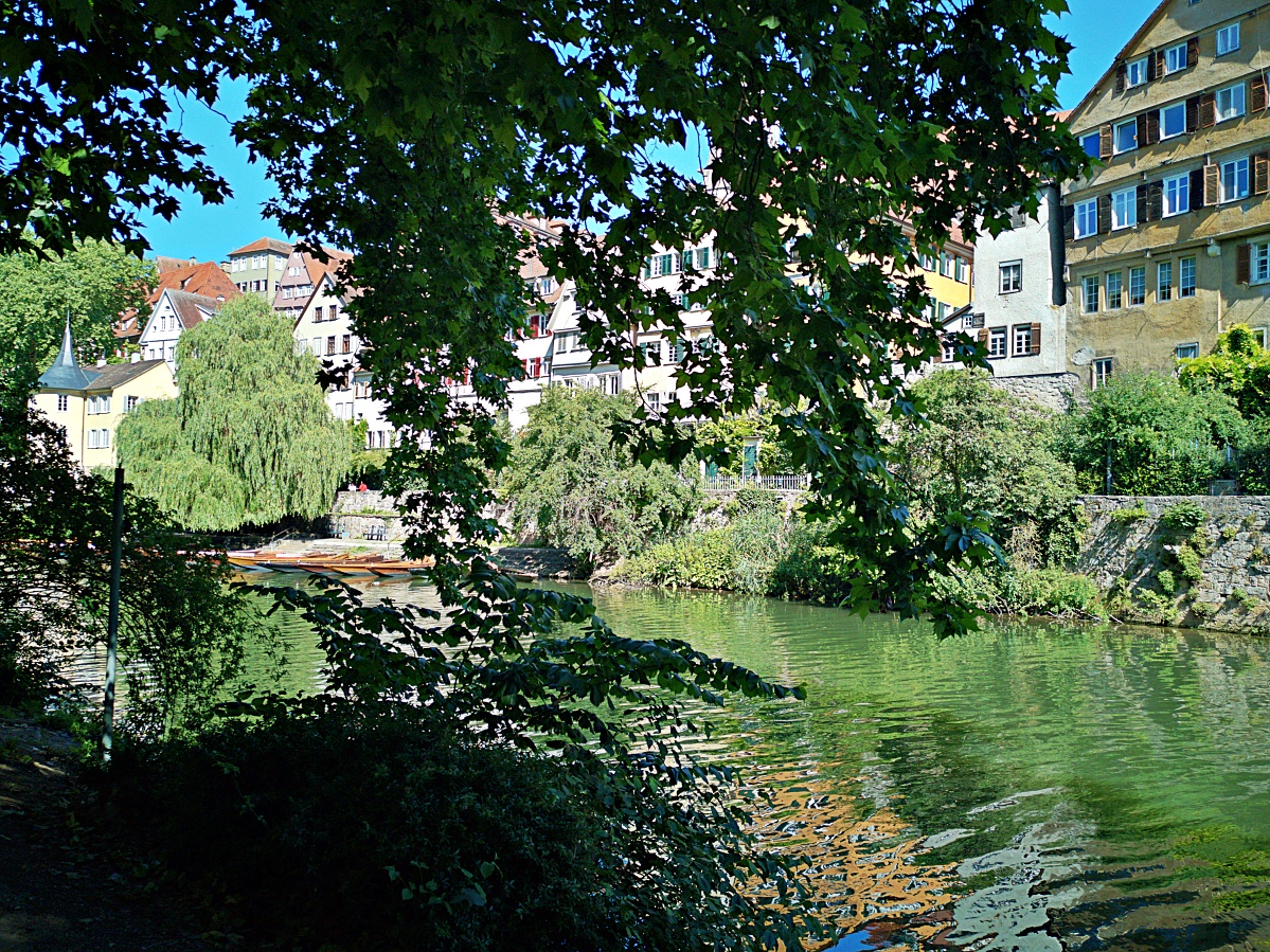 Schwabische Alb Entdecken Sie Die Landschaft Zwischen Neckar Und