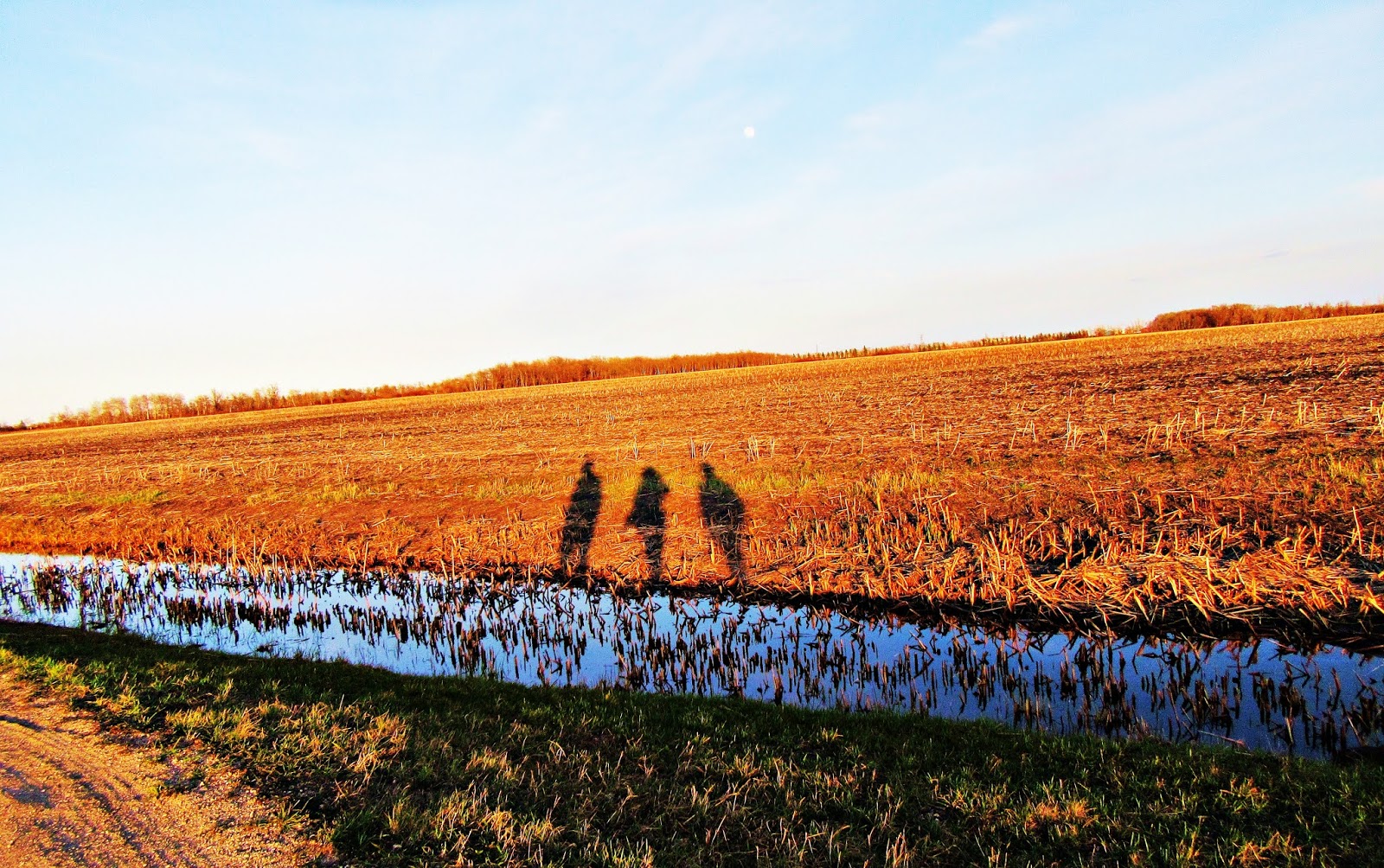 Walking the Grand Trunk Trail Headingley Part 2