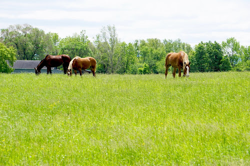 Treasure Hunting Americas Backroads